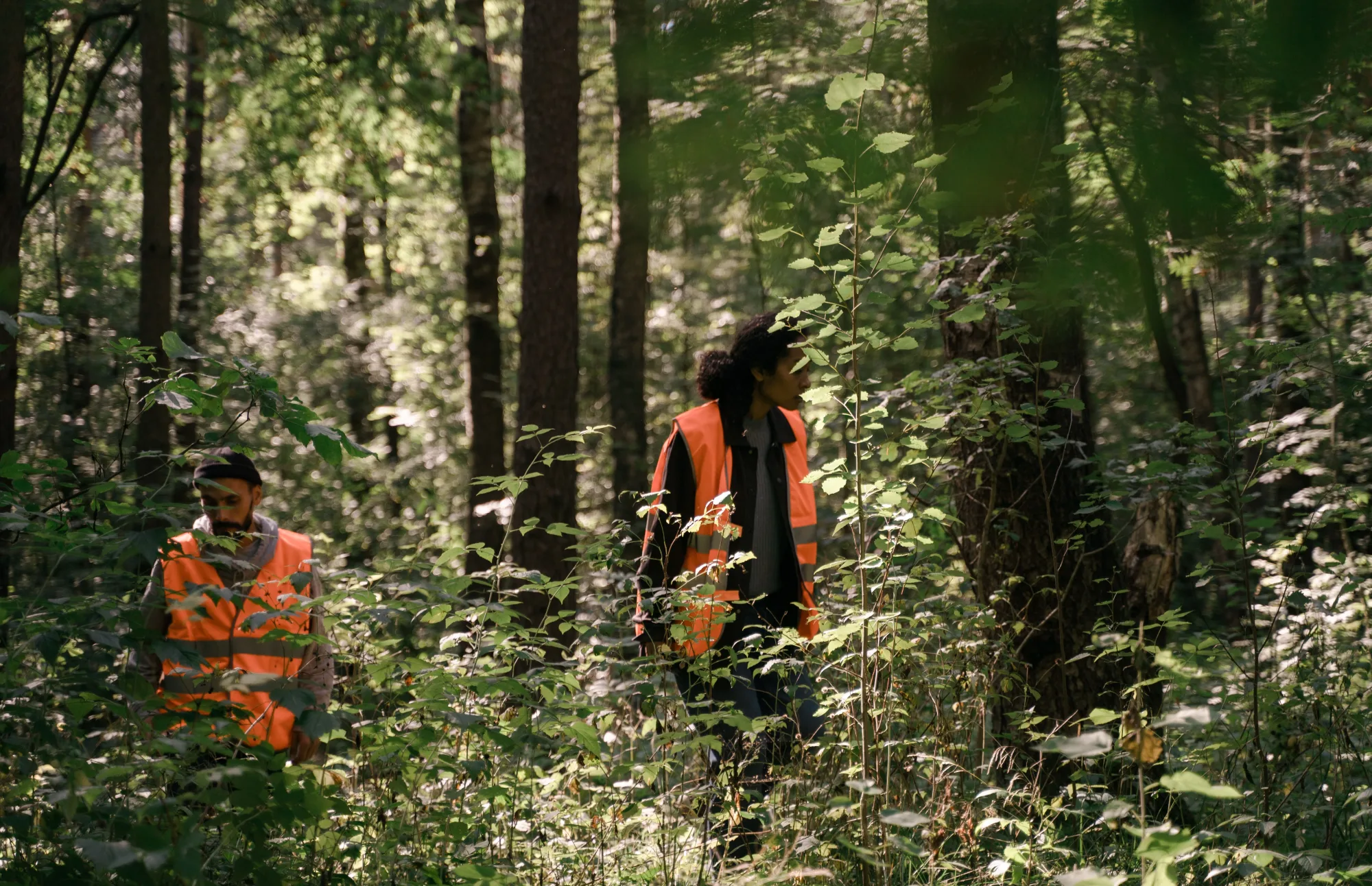 Zwei Forstmitarbeiter begutachten einen dicht bewachsenen Wald