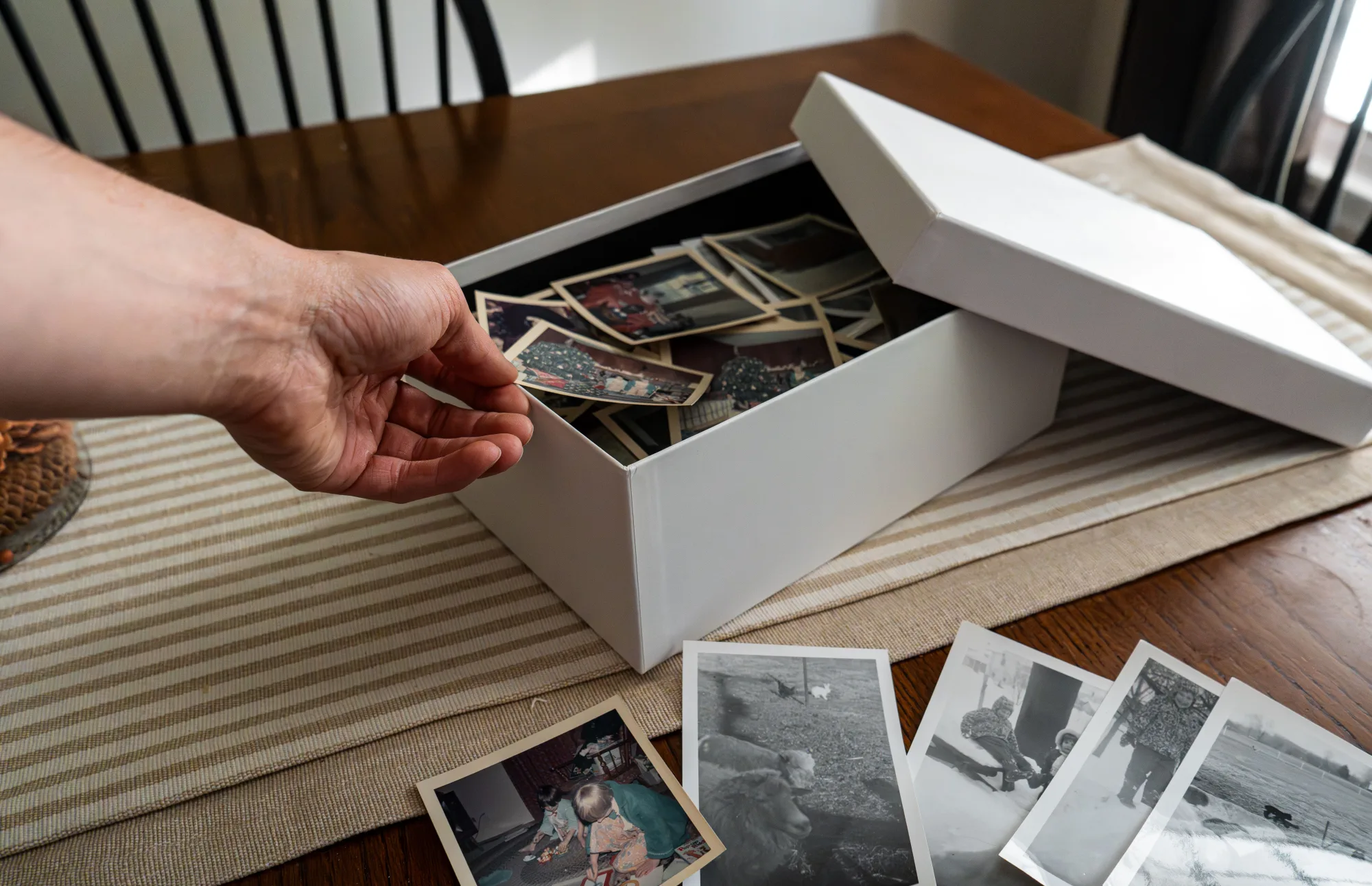 Eine Hand greift in eine Schachtel mit alten Familienfotos