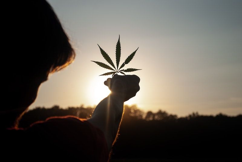 Cannabis- und Marihuana-ETFs: Megatrend oder Flop?