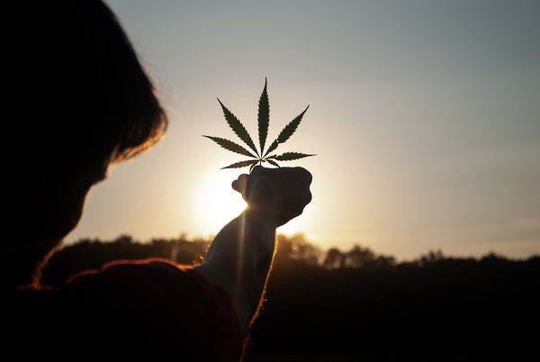 Cannabis- und Marihuana ETFs: Megatrend oder Flop?